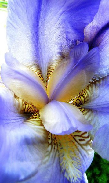 Чтобы обрести знание, каждый день что-нибудь добавляй; чтобы обрести мудрость, каждый день от ... - 5