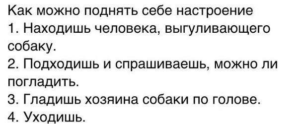 Подойди спроси. Как поднять себе настроение находишь человека выгуливающего собаку. Найти настроение. Как поднять настроение себе алкоголь. Как поднять маме настроение одним сообщением.