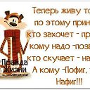 ���� ������, �����-���������, 70 ��� - ��������� 22 ������� 2014 � ������ ������ ��������