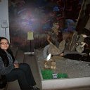 ���� ����, �������, 43 ���� - ��������� 8 ������ 2014 � ������ ���� ����������