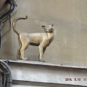 �������� ���� � ����� �� ������� ���� ����������