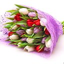 ���� �����, ����������� - ��������� 11 ������ 2014 � ������ ���� ����������