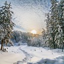 ���� Pavel, ������, 52 ���� - ��������� 1 �������� 2014 � ������ ���� ����������
