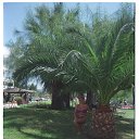 ���� ���, ������, 30 ��� - ��������� 27 �������� 2014 � ������ ���� ����������