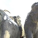 ���� �����, ������� - ��������� 7 ������� 2014 � ������ �������� �� �����