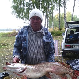 �������, �����, 71 ���