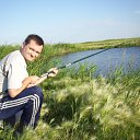 ���� ������, ��������, 44 ���� - ��������� 3 ������ 2014 � ������ ���� ����������