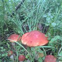 ���� ���������, ������ - ��������� 30 ������ 2014 � ������ ���� ����������