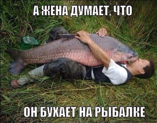 ����� ������� - 10 ������ 2014 � 18:39 - 2