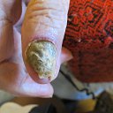 ���� ����� �������, �������, 49 ��� - ��������� 12 ������ 2014 � ������ ���� ������