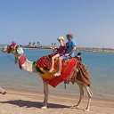 ���� ���������, ������, 52 ���� - ��������� 7 �������� 2014 � ������ ������� � ������ � ���������