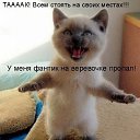 ���� ����, ������ - ��������� 29 ������� 2014 � ������ ������ ��������