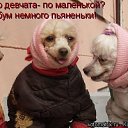 ���� �������, ����-���������, 53 ���� - ��������� 28 ������� 2014 � ������ ������ ��������