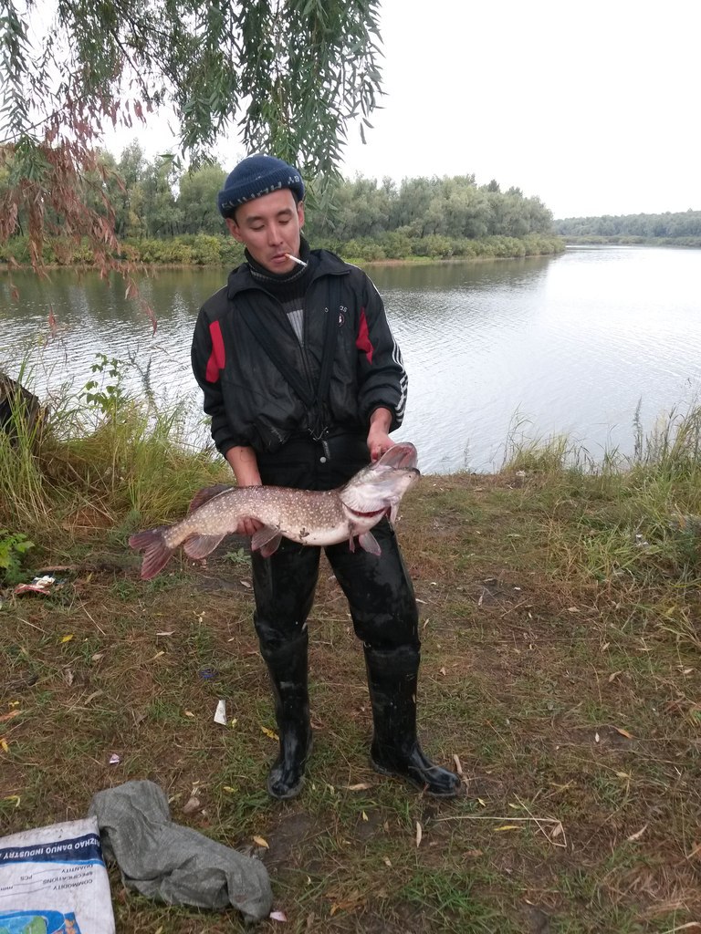 ����� ������� - 10 ������ 2014 � 18:39 - 3