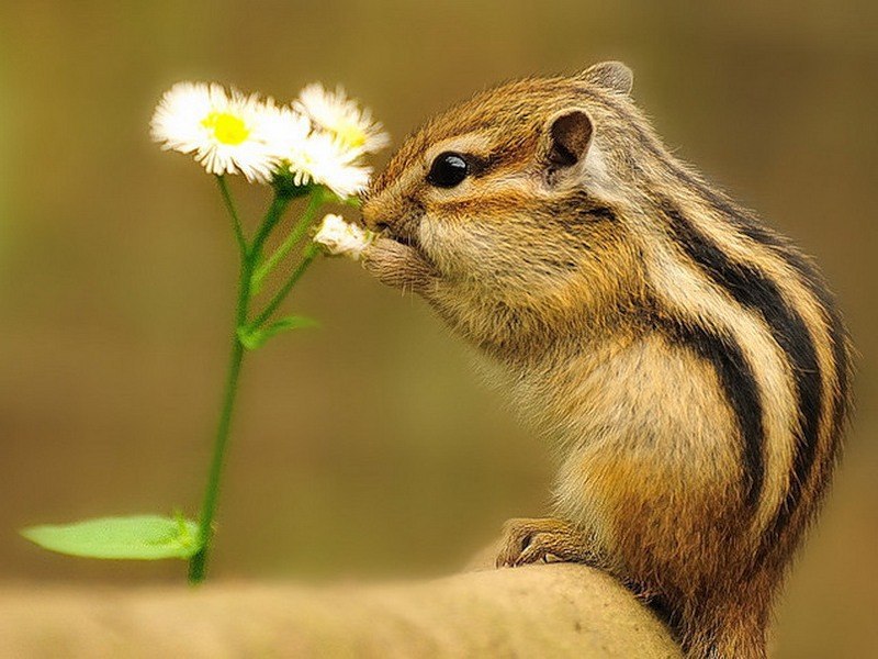 ����� ������� - 26 �������� 2014 � 22:06