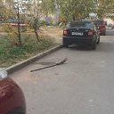 ���� Vladimir, ���������, 57 ��� - ��������� 4 ������� 2014 � ������ ������ ��������