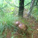 ���� �����, ������� �����, 54 ���� - ��������� 2 ������ 2014