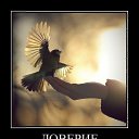 ���� ���������, ������ - ��������� 9 ������� 2014 � ������ ������ ��������