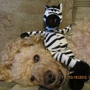 ���� ������, �����-��������� - ��������� 23 ������ 2014 � ������ ������ ��������