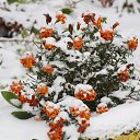 ���� ������, �������, 41 ��� - ��������� 18 ������� 2014 � ������ �������