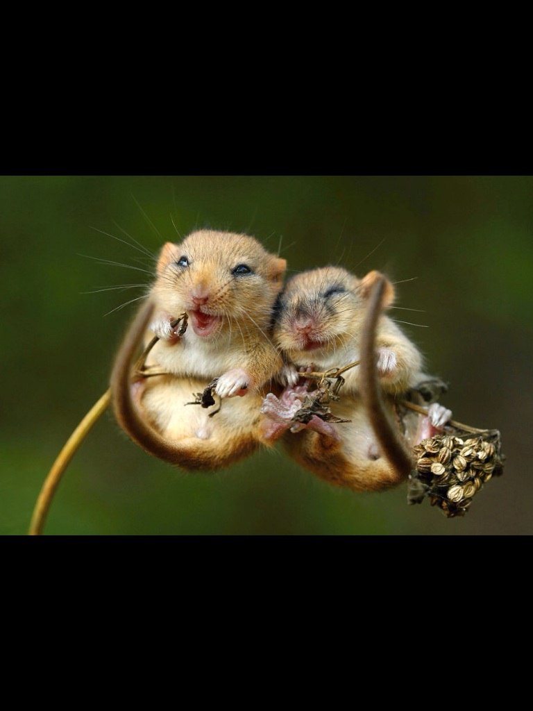 Oleg Kazakov - 7 ������� 2014 � 19:14