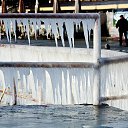 ���� Carcass, ������, 44 ���� - ��������� 11 ������� 2014 � ������ �violent frost�