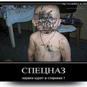 ���� �����, ���������, 48 ��� - ��������� 24 ������� 2014 � ������ ������ ��������