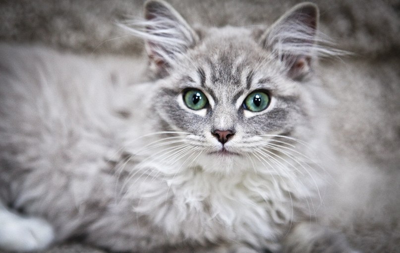 ����� ������� - 9 ������� 2014 � 16:46