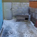 ���� �����, ���, 45 ��� - ��������� 14 ������ 2014 � ������ ������ ������