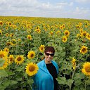 ���� �����, �����������, 53 ���� - ��������� 5 �������� 2014 � ������ ���� ����������