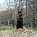 ���� �����, �����������, 28 ��� - ��������� 10 ������� 2014 � ������ ������ ��������