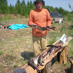 �������� ����.