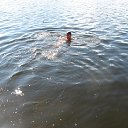 ���� ���������, �����-���������, 63 ���� - ��������� 2 �������� 2014 � ������ ���� ����������