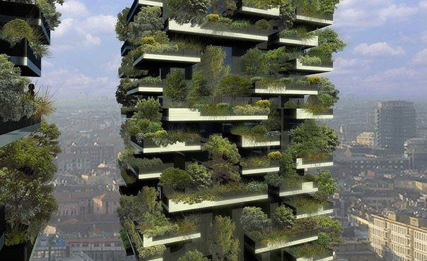 Vertical Forest -  .   Vertical Forest      . ...