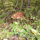 ���� �����, �������, 57 ��� - ��������� 8 ������� 2014 � ������ ��������