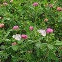 ���� �����, ������ - ��������� 1 ������� 2014 � ������ ������ ��������