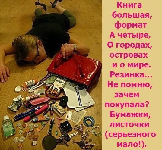 Женская сумочка. История в 6 картинках, читать последовательно :) - 3