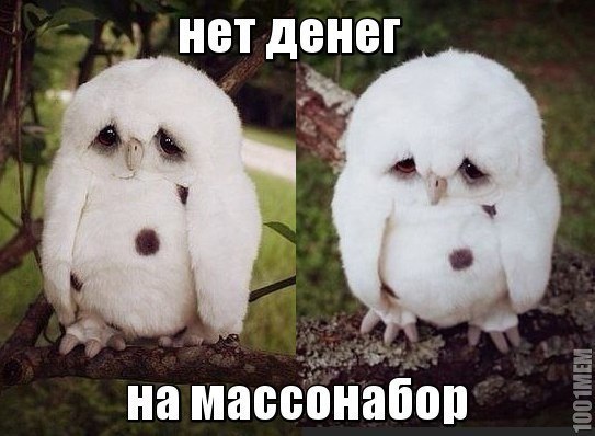 SportFeed - 26  2014  13:56