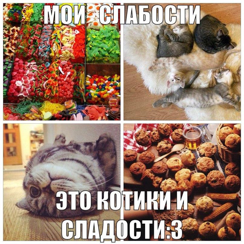 Не отказывай себе в слабости. Шутки про сладости. Мои слабости это сладости. Вкусняшки прикол. Шутки про вкусняшки.