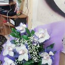 ���� ������, �����, 47 ��� - ��������� 15 ������ 2014 � ������ ���� ����������