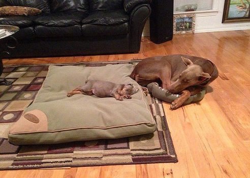 Все мамы одинаковы))))