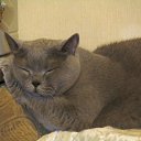 �������� �������� �����!!! �� ������� ������ ��������