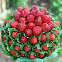 ���� ������, ���������, 60 ��� - ��������� 23 ������� 2014 � ������ �"��������"�