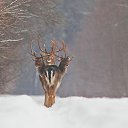  , --, 40  -  7  2014    