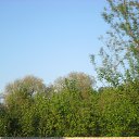 ���� �����, ������ - ��������� 20 �������� 2014 � ������ ���� ����������