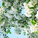 ���� ��������, �������, 65 ��� - ��������� 19 �������� 2014 � ������ ���� ����������