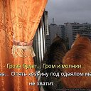 ���� �������, ��������-��-������, 48 ��� - ��������� 10 ������ 2014 � ������ ������ ��������