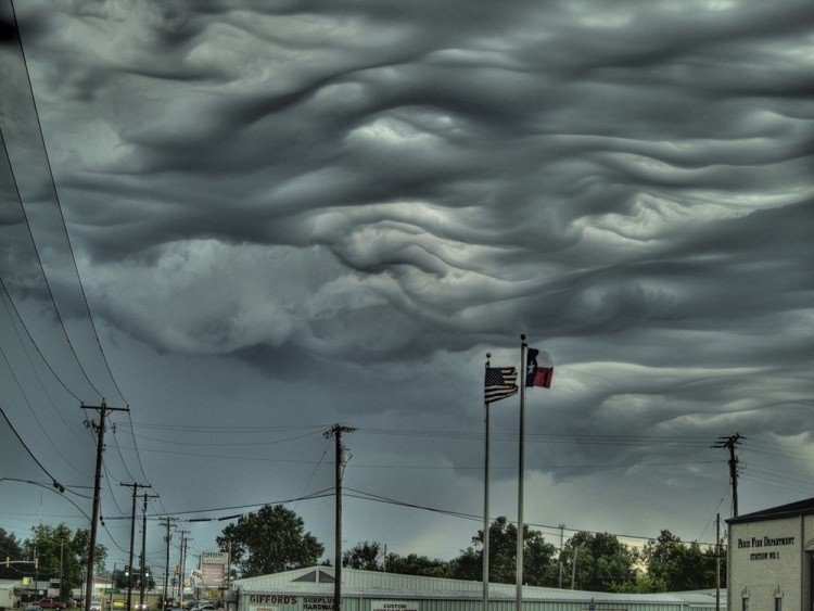   .Undulatus asperatus,        ... - 7