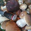 ���� ���, �������, 60 ��� - ��������� 30 ������� 2014 � ������ ���� ����������