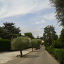 ���� ������ Pro, ������, 51 ��� - ��������� 25 �������� 2014 � ������ ���� ����������